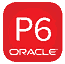 Oracle Primavera P6 Professional Project Management Training